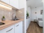 Estudio Curic 1